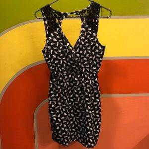 Black and white cat print dress with lace detail.